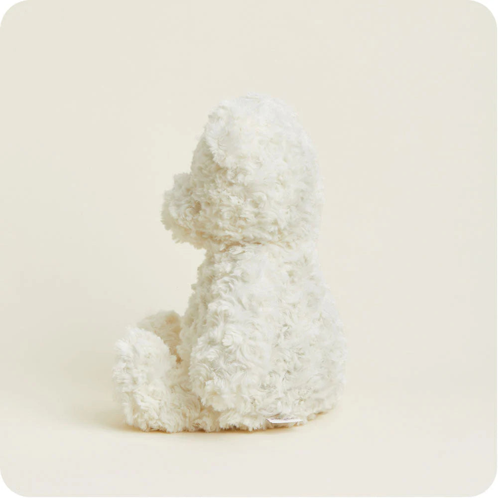 Teddy Bear Valentine's Bundle