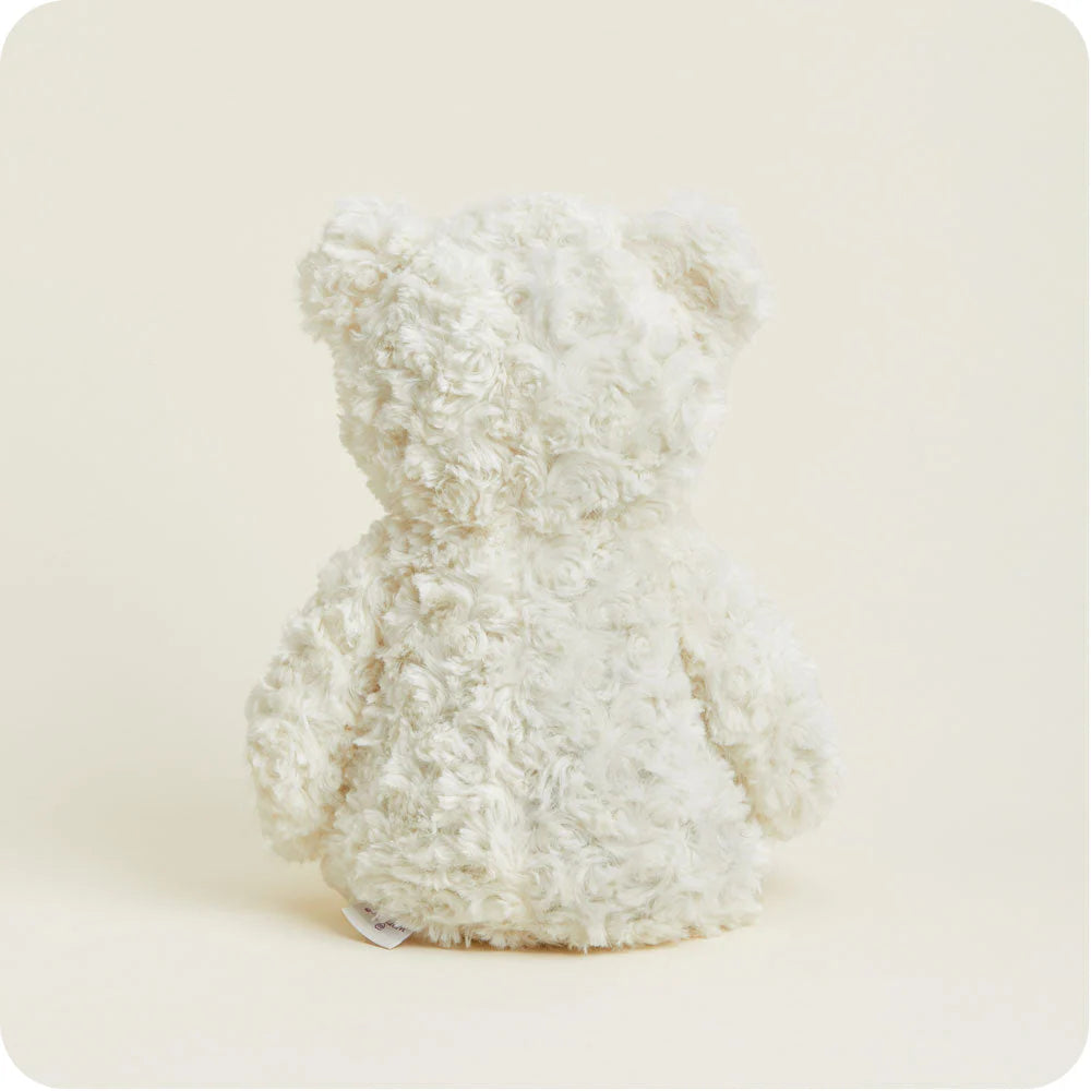 Teddy Bear Valentine's Bundle